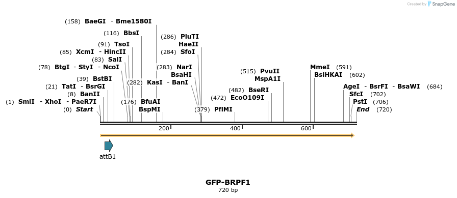 112313_map