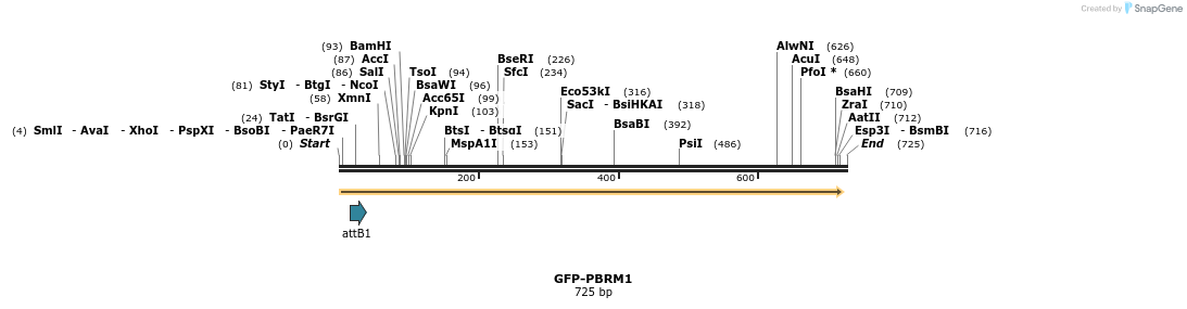 112329_map