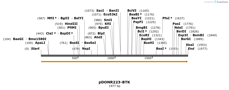 11233_map