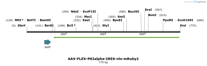 112331_map