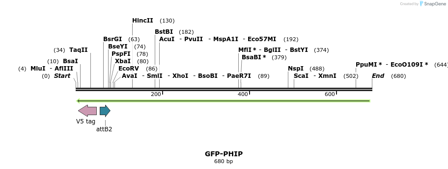 112333_map