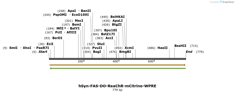 112334_map