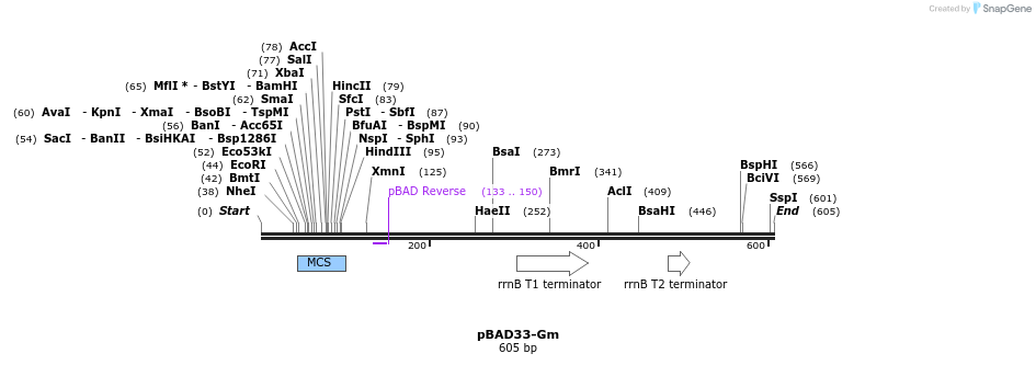 112335_map