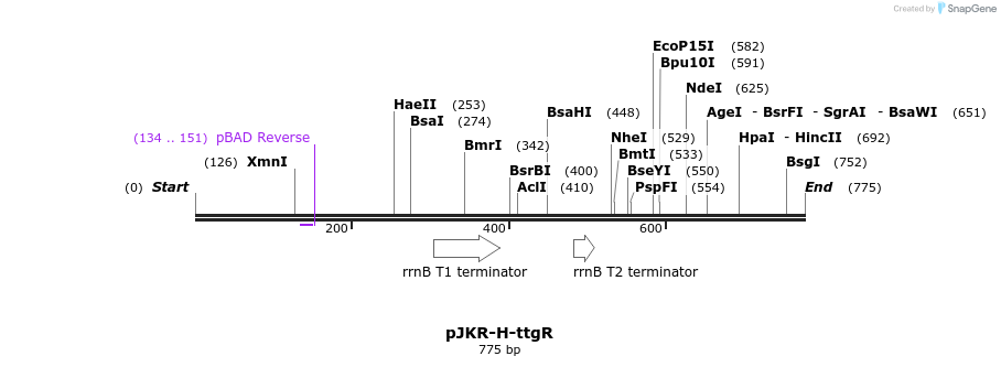 112339_map