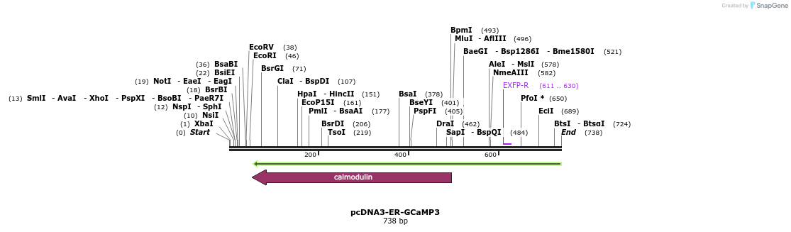 112363_map
