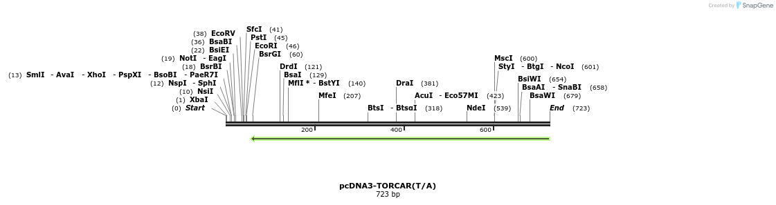 112367_map