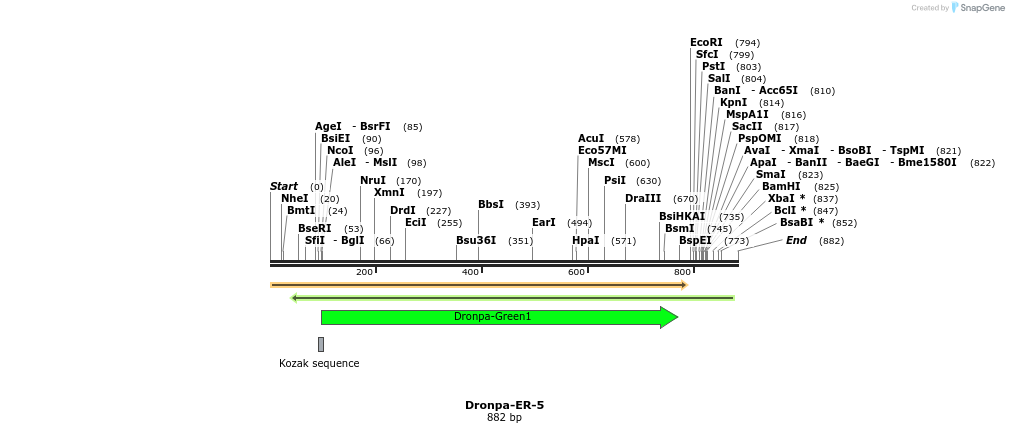 112369_map