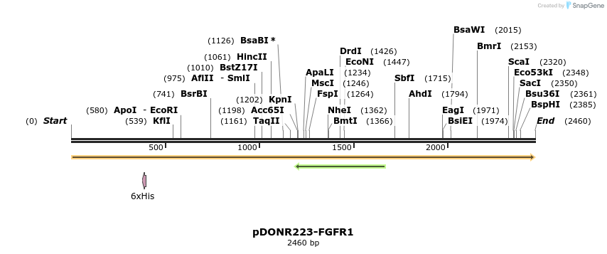 11237_map