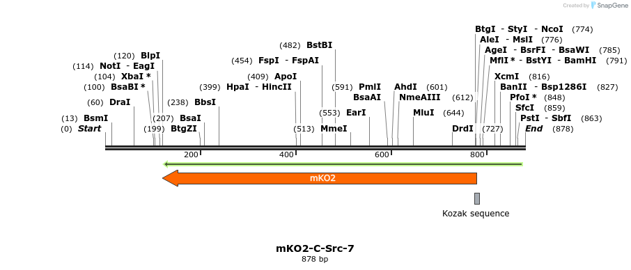 112371_map