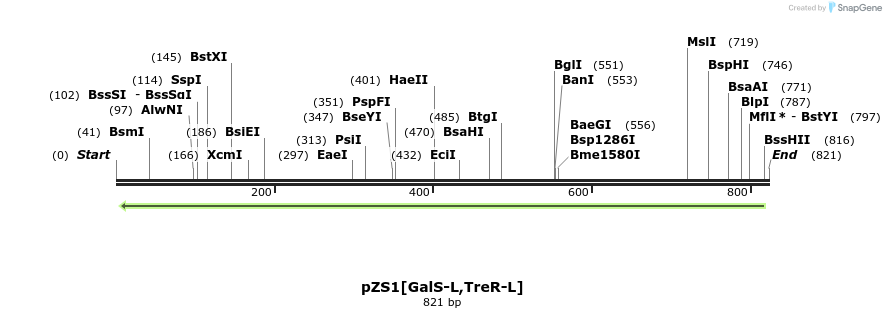 112375_map