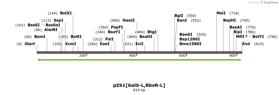 112376_map