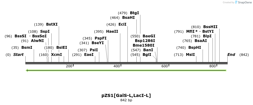 112378_map