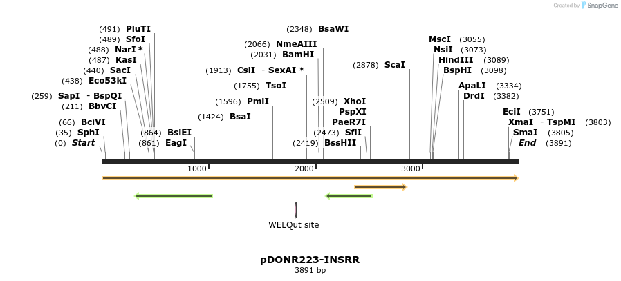 11239_map