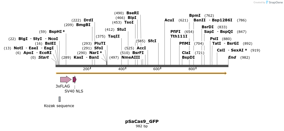 112393_map