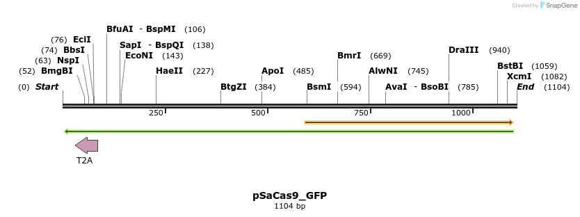 112395_map