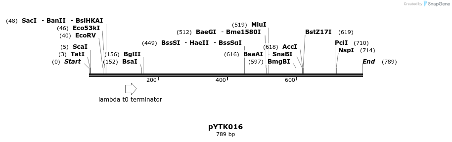 112408_map