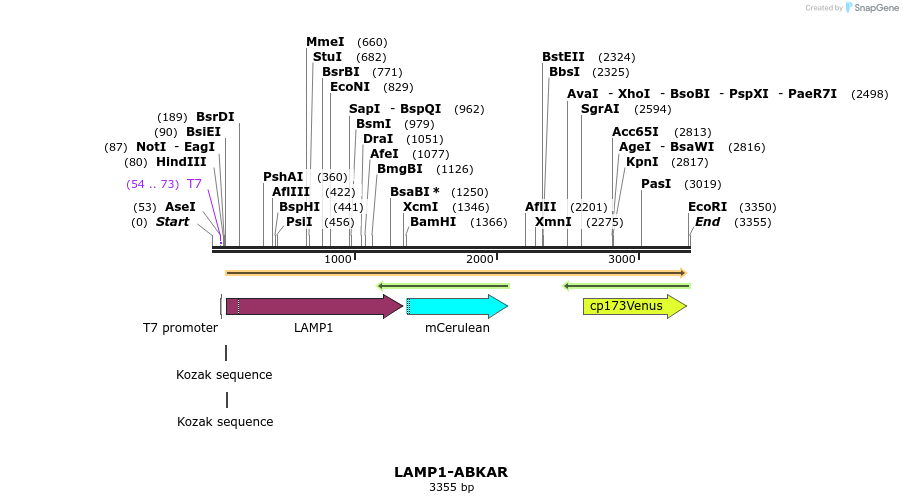 112409_map