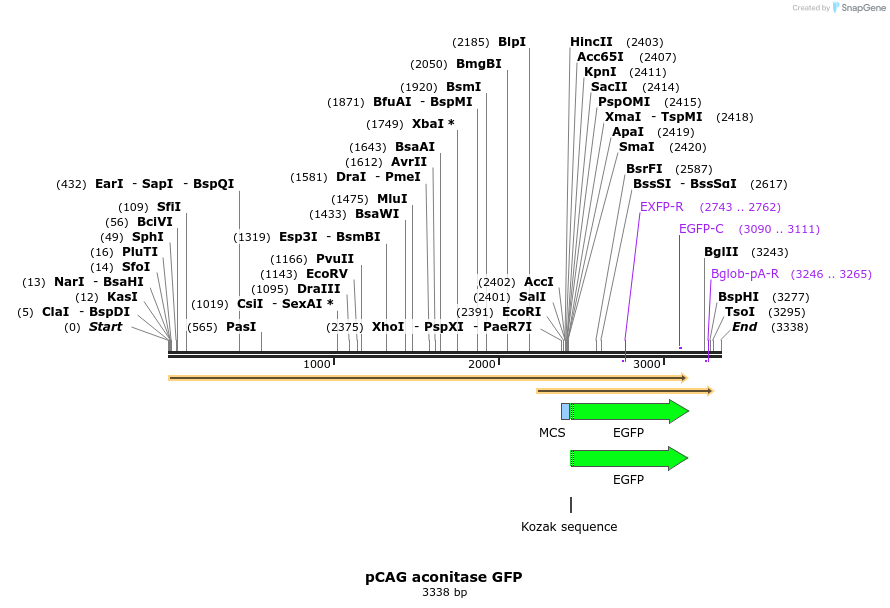 112413_map