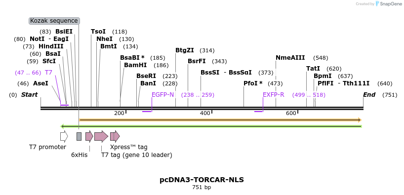 112428_map