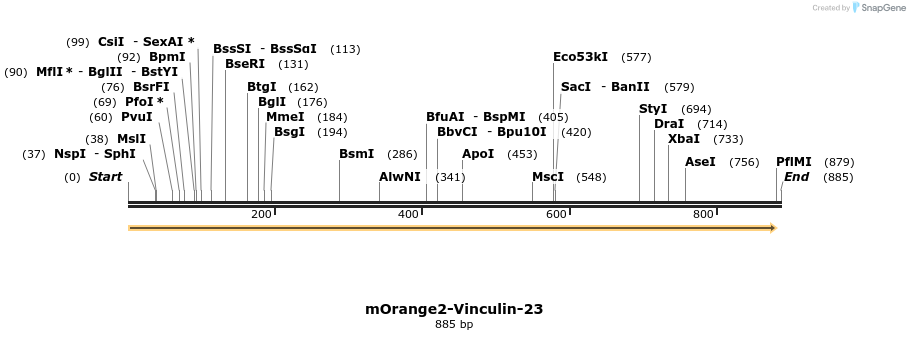 112433_map