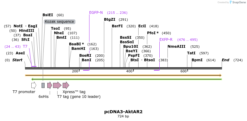 112434_map