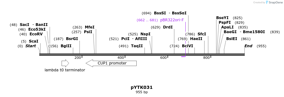 112436_map