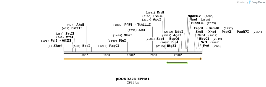 11244_map
