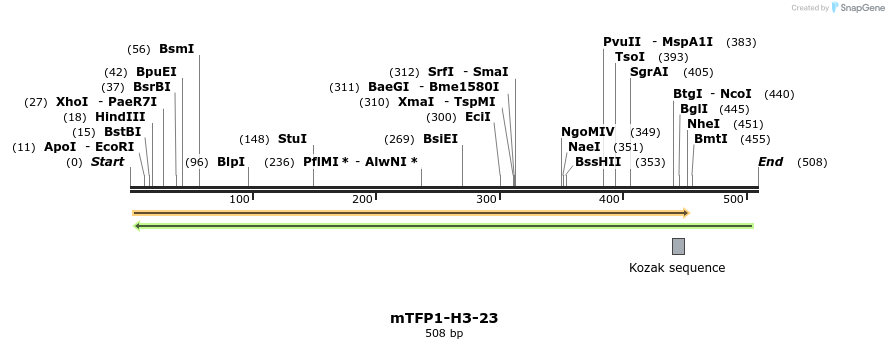 112442_map