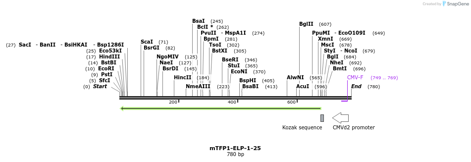 112445_map