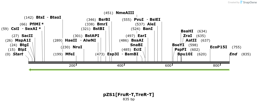 112449_map
