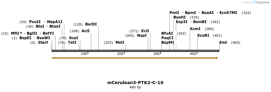 112450_map
