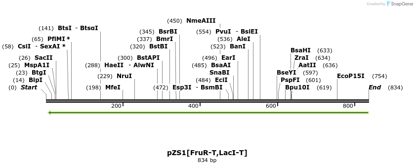 112451_map