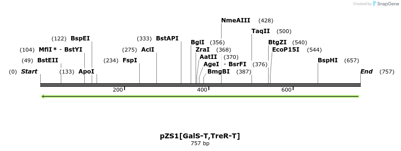 112453_map