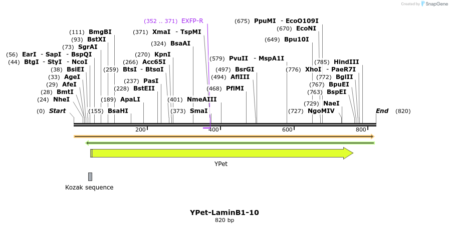 112456_map