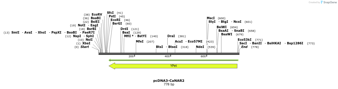 112457_map