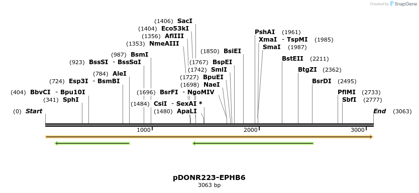 11246_map