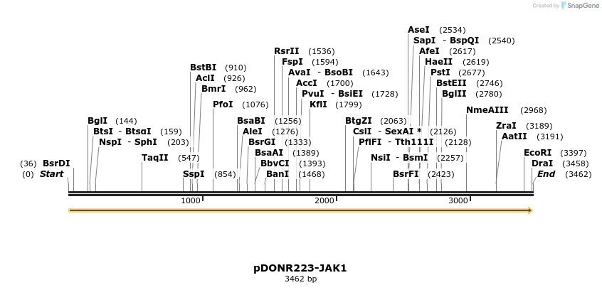11247_map