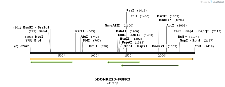 11248_map