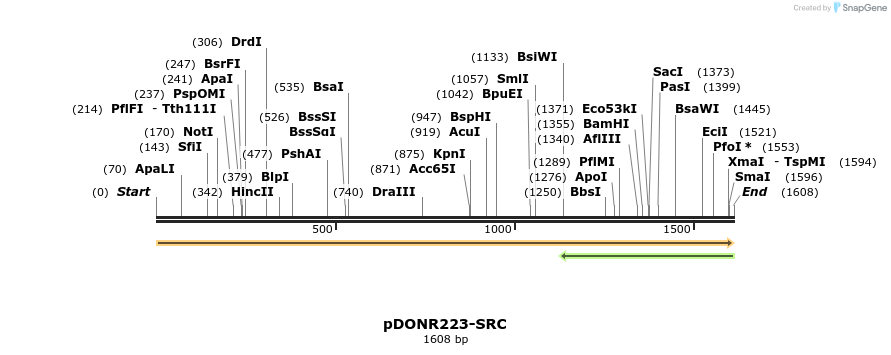 11249_map