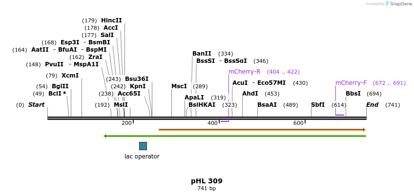 112500_map