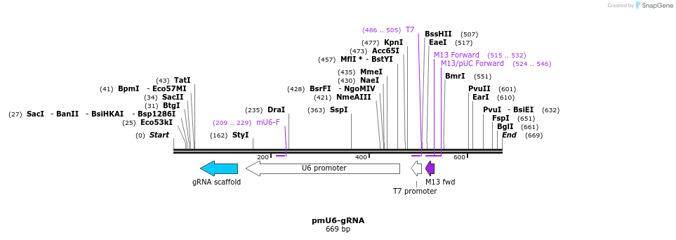112501_map