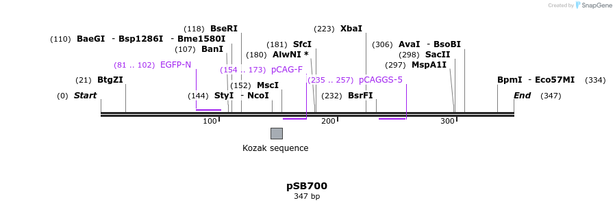 112505_map
