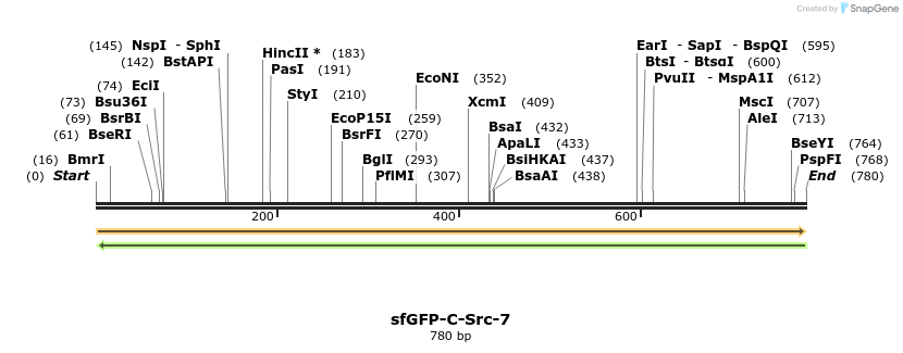 112519_map
