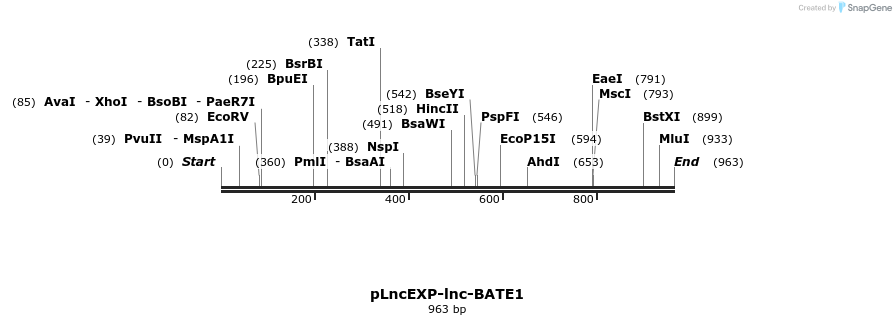 112520_map