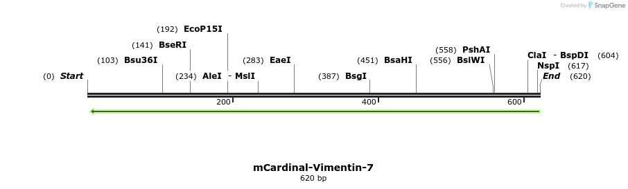 112524_map