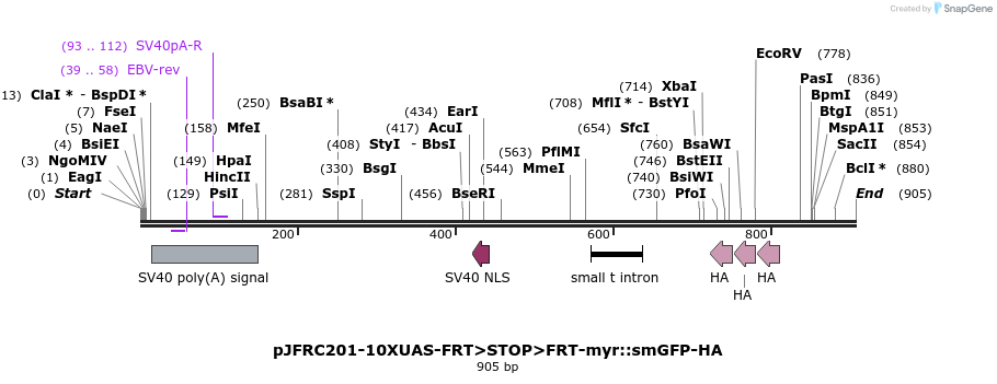 112544_map