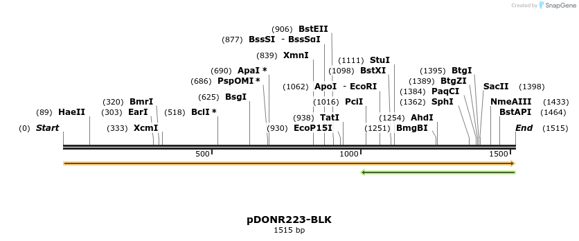 11255_map
