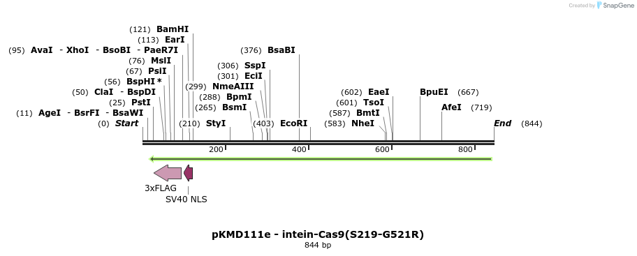 112556_map