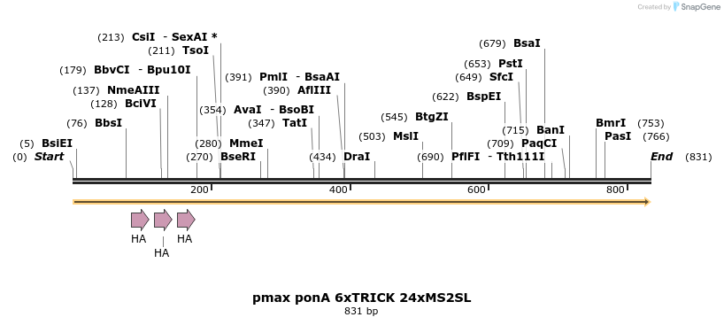 112559_map