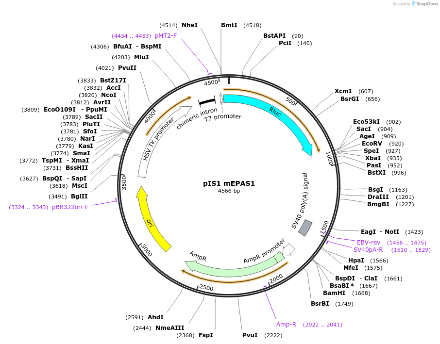 112560_map